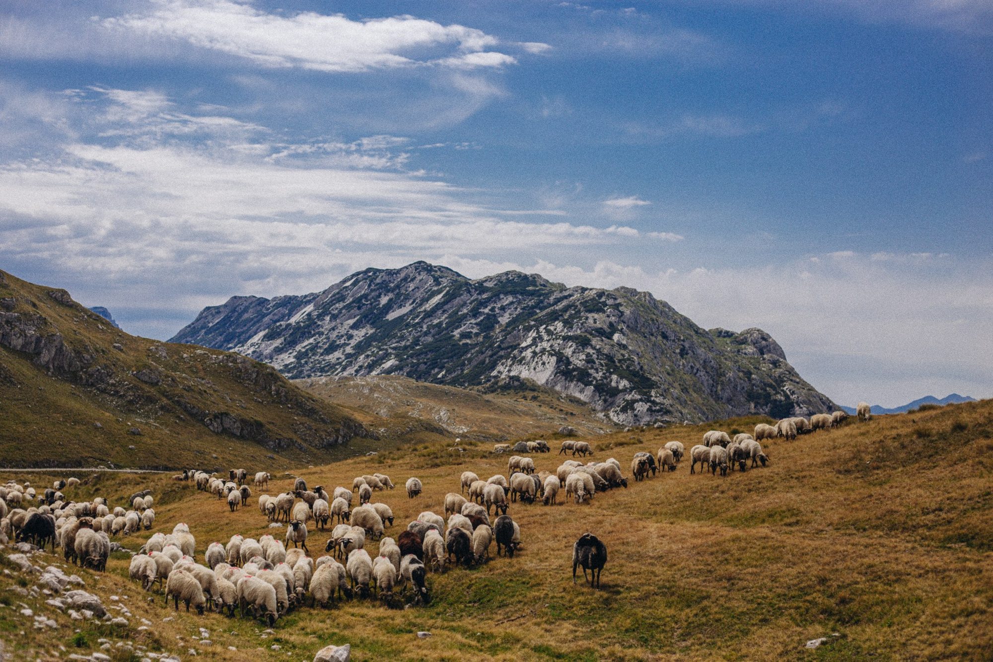 Mountain and coastal landscape 7