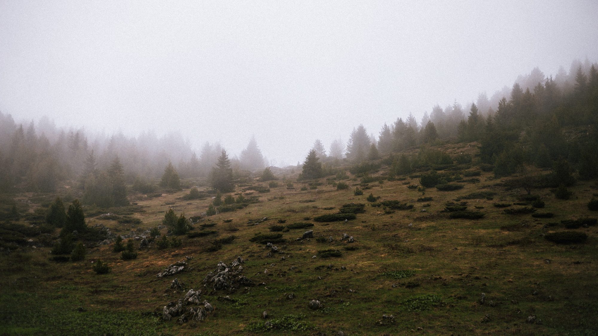 Mountain and coastal landscape 5
